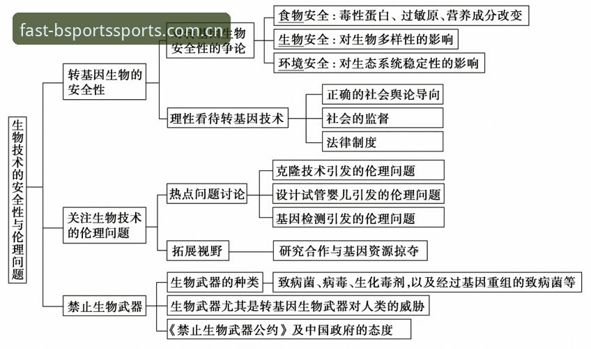 3个创新步骤实现B体育无忧体验：从登录到安全防护的全新探索